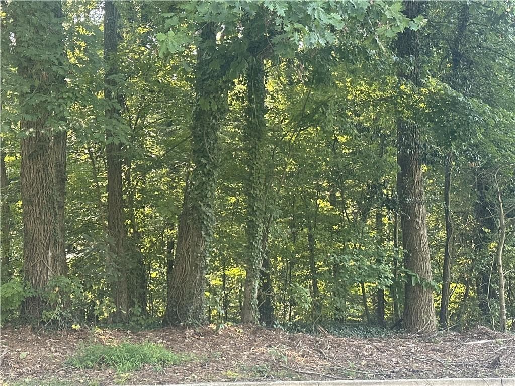 unimproved land for sale at 0 Ale Circle, East Point, GA 30344 — photo 3