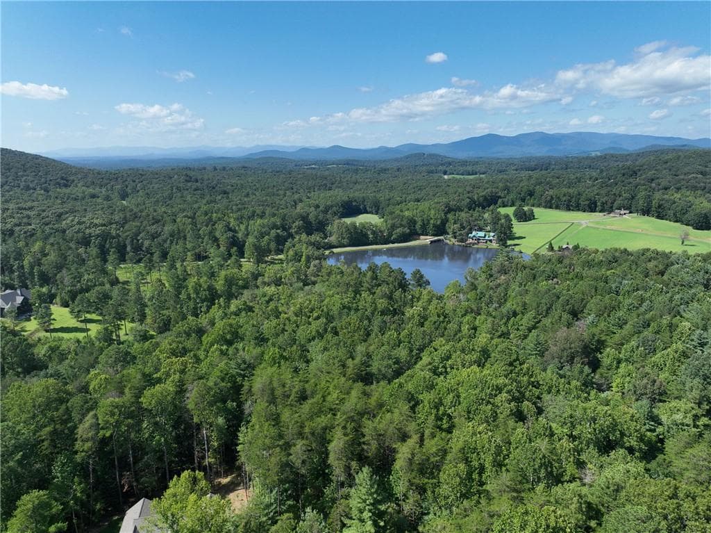 single family residence for sale at 142R Autumn Fern Lane, Ellijay, GA 30536 — photo 6