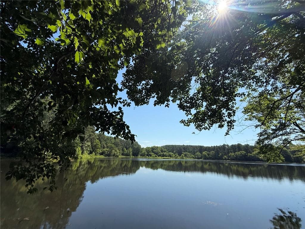 unimproved land for sale at 141 Cove Lake Drive, Marble Hill, GA 30148 — photo 2