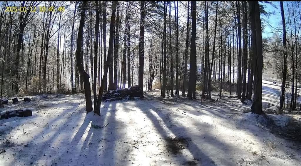 unimproved land for sale at 141 Cove Lake Drive, Marble Hill, GA 30148 — photo 3