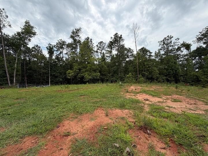 unimproved land for sale at 345 Friar Tuck Circle, Covington, GA 30014 — photo 9