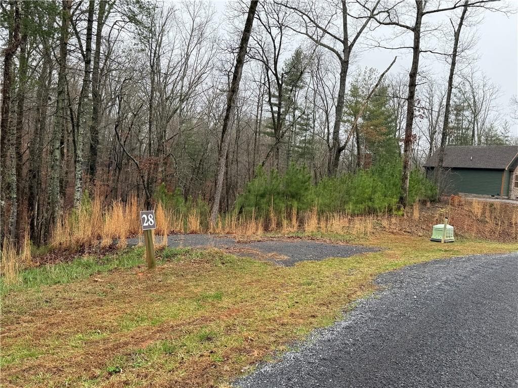 unimproved land for sale at 0 Lake Top Lane, Ellijay, GA 30536 — photo 1 of 3