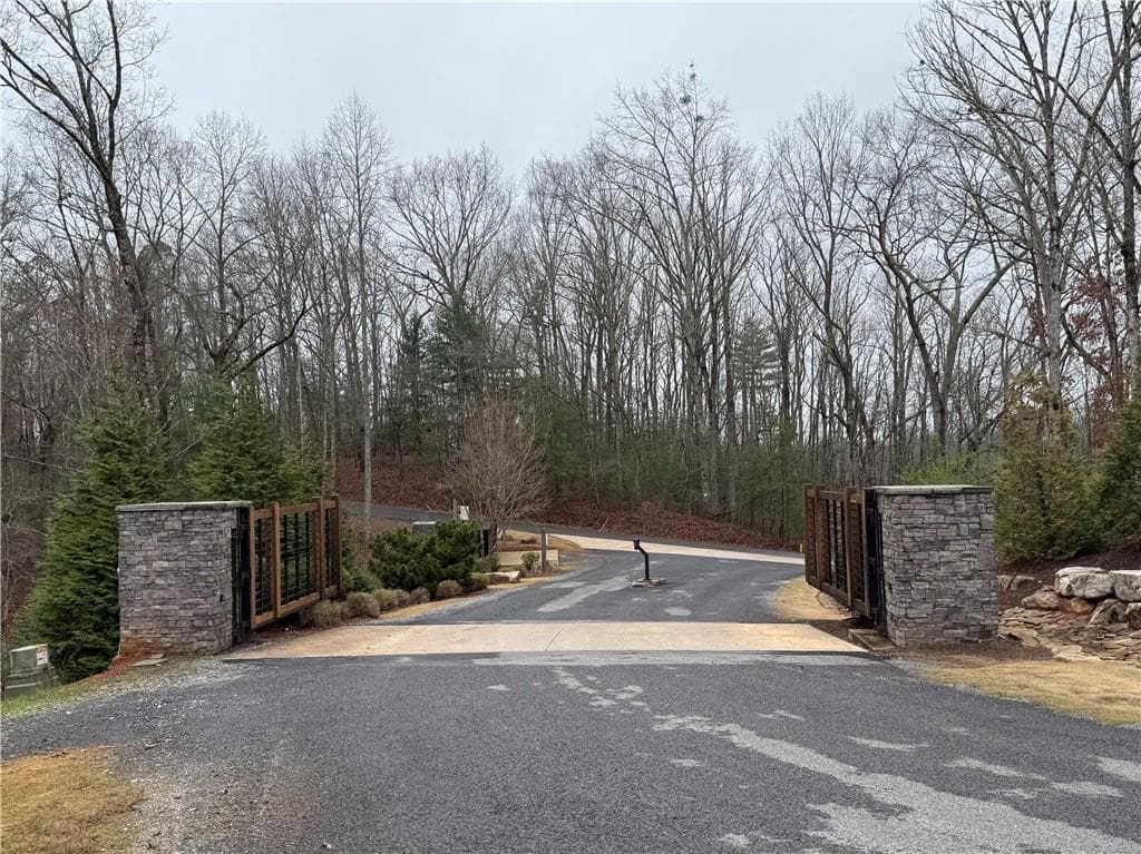 unimproved land for sale at 0 Lake Top Lane, Ellijay, GA 30536 — photo 2