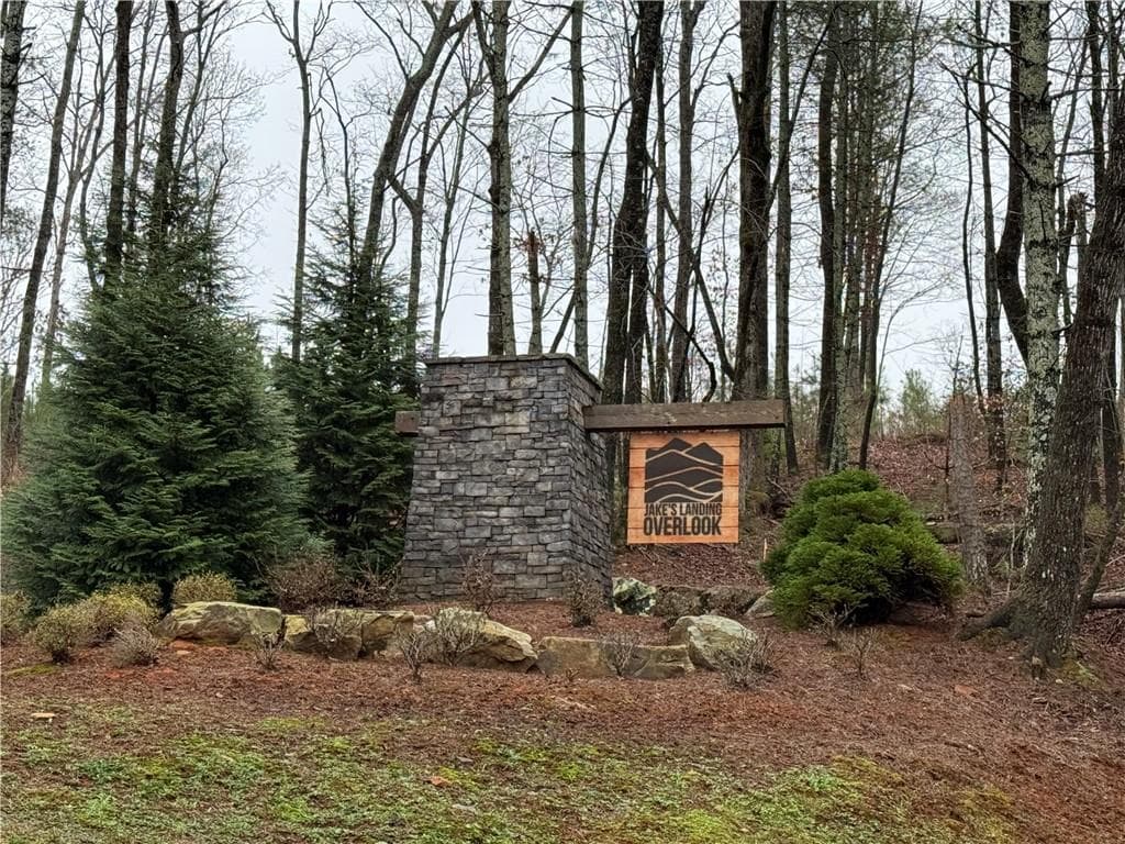 unimproved land for sale at 0 Lake Top Lane, Ellijay, GA 30536 — photo 3