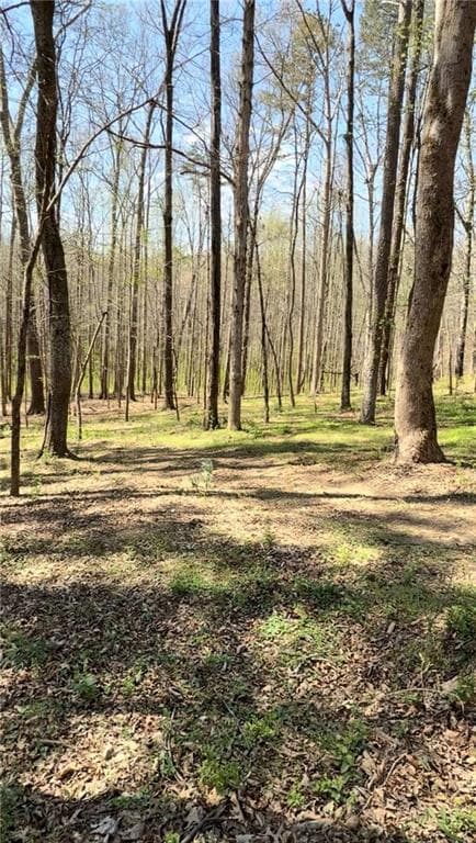 other for sale at 0 ike stone, Monroe, GA 30656 — photo 3