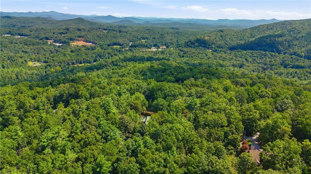 unimproved land for sale at 0 Brenary Drive, Lakemont, GA 30552 — photo 2