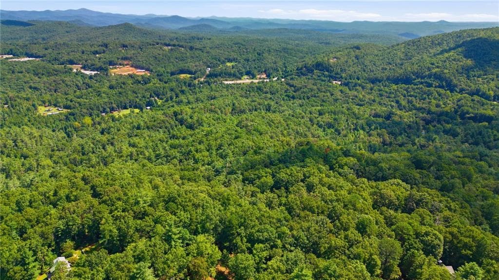 unimproved land for sale at 0 Brenary Drive, Lakemont, GA 30552 — photo 3