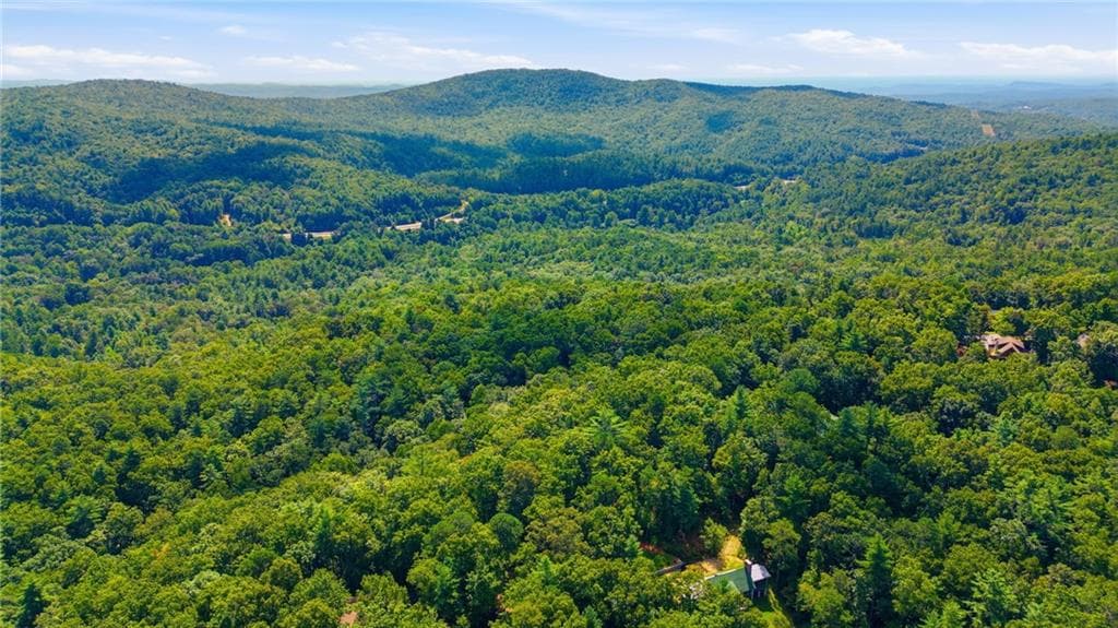 unimproved land for sale at 0 Brenary Drive, Lakemont, GA 30552 — photo 5
