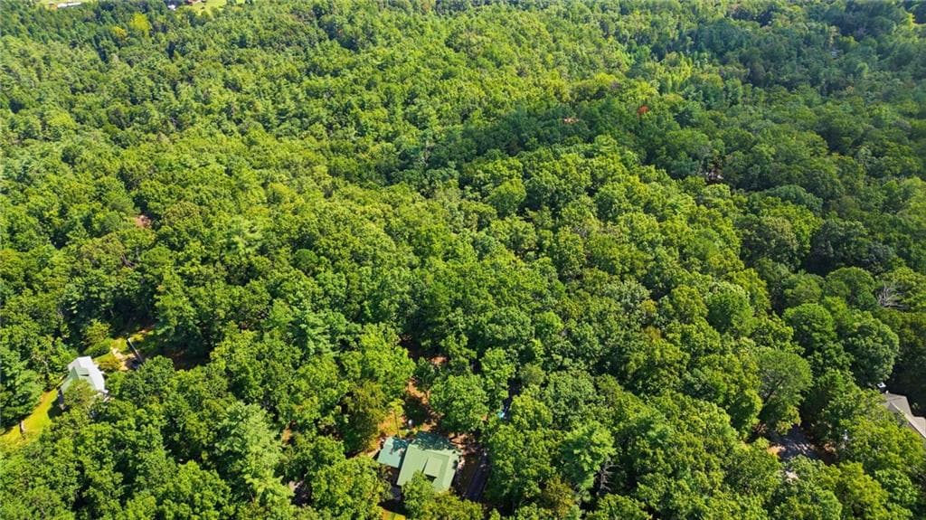 unimproved land for sale at 0 Brenary Drive, Lakemont, GA 30552 — photo 6
