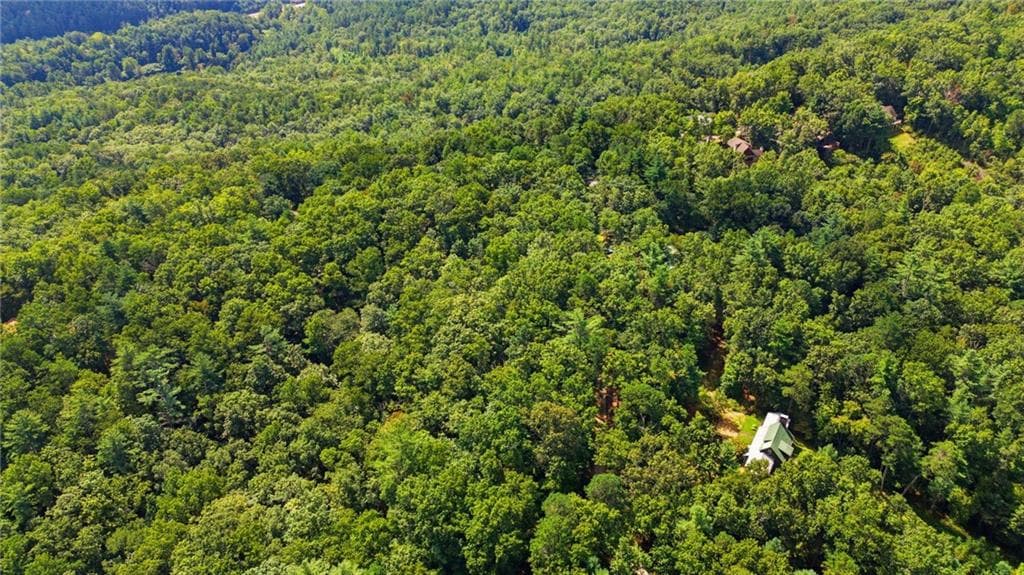 unimproved land for sale at 0 Brenary Drive, Lakemont, GA 30552 — photo 7