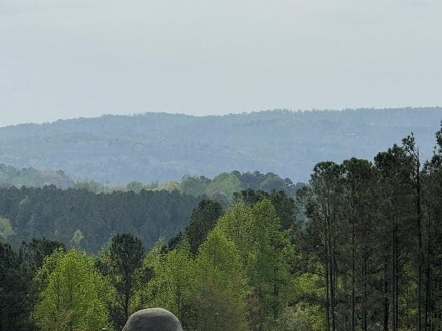 unimproved land for sale at 1100 Fuller Mountain, Fairmount, GA 30143 — photo 3