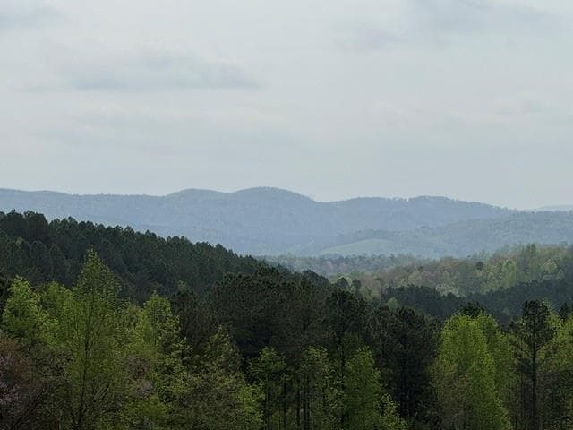 unimproved land for sale at 1100 Fuller Mountain, Fairmount, GA 30143 — photo 4