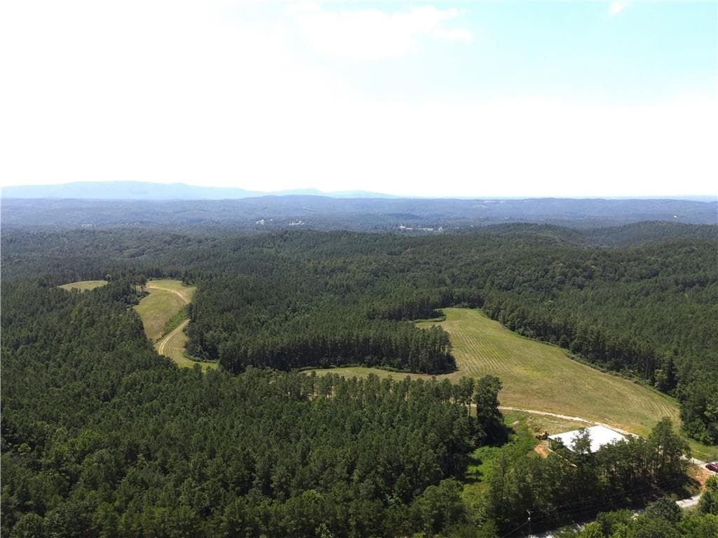unimproved land for sale at 1100 Fuller Mountain, Fairmount, GA 30143 — photo 8
