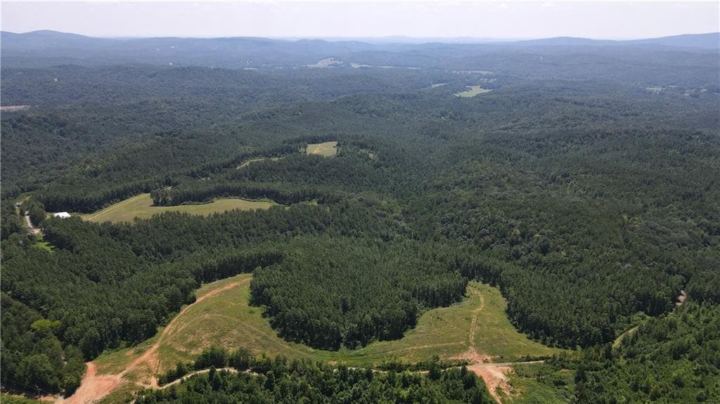 unimproved land for sale at 1100 Fuller Mountain, Fairmount, GA 30143 — photo 9