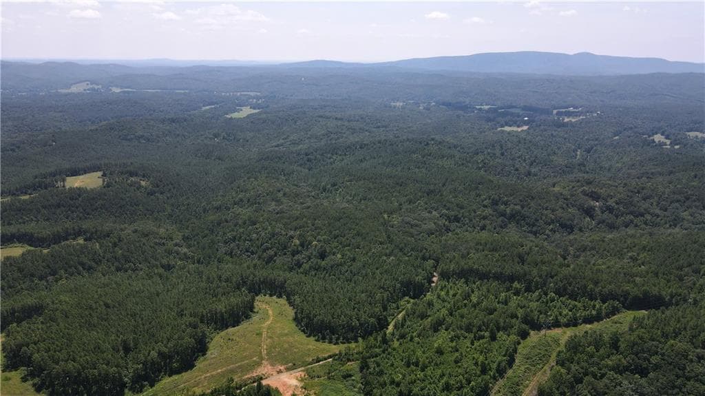 unimproved land for sale at 1100 Fuller Mountain, Fairmount, GA 30143 — photo 10