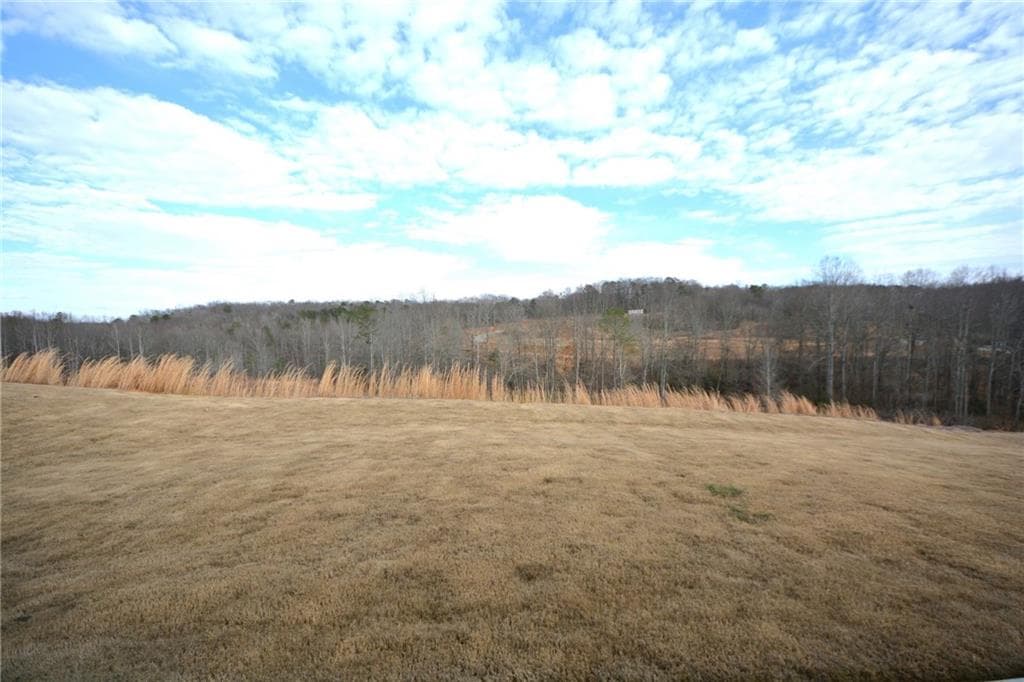 5 bedroom, 4 bathroom, 2,562 sq ft single family residence for rent at 1450 Sunny Valley Lane, Braselton, GA 30517 for $2,500 a month — photo 6