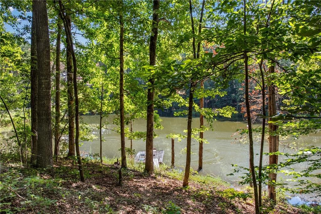 5 bedroom, 6 bathroom, 5,302 sq ft single family residence for sale at 1300 Soap Creek Road, Ball Ground, GA 30107 — photo 3