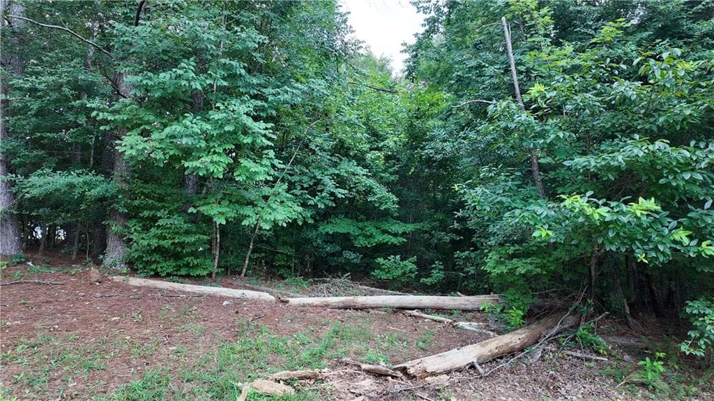 unimproved land for sale at 5221 Sandy Shores Court, Lithonia, GA 30038 — photo 4