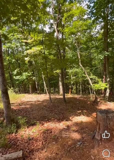unimproved land for sale at 0 Rusty G Place, Dawsonville, GA 30534 — photo 3