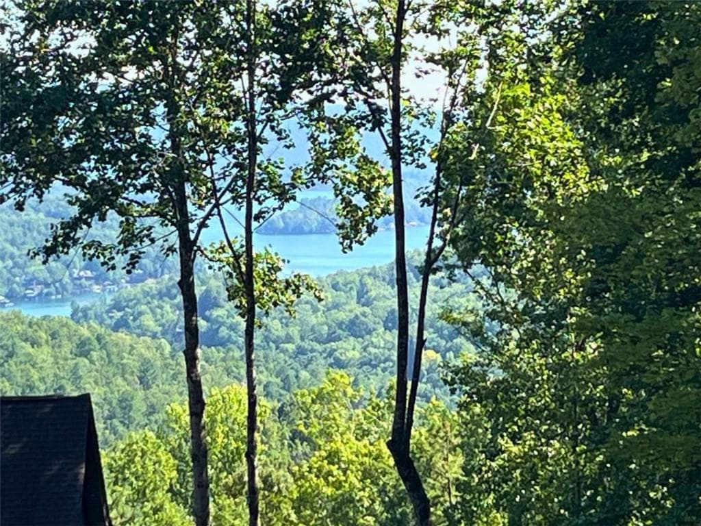 single family residence for sale at LOT 8 Lake View, Clayton, GA 30525 — photo 2