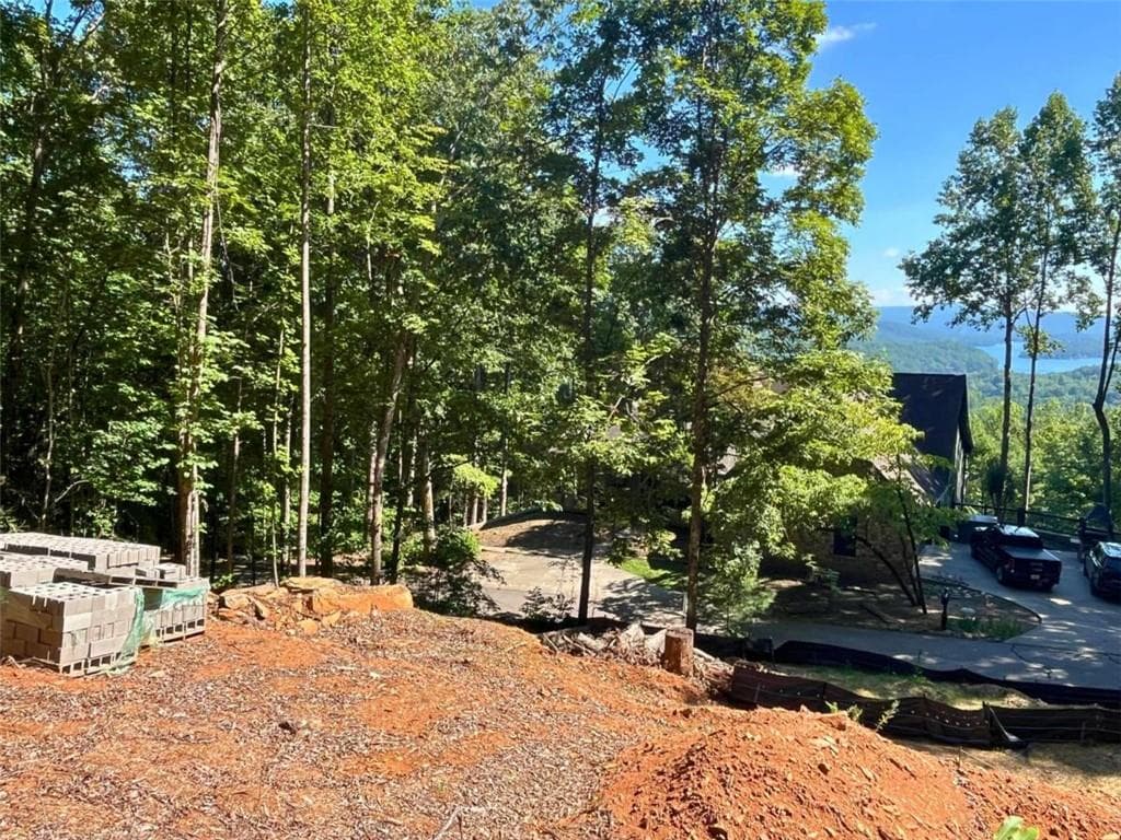single family residence for sale at LOT 8 Lake View, Clayton, GA 30525 — photo 3
