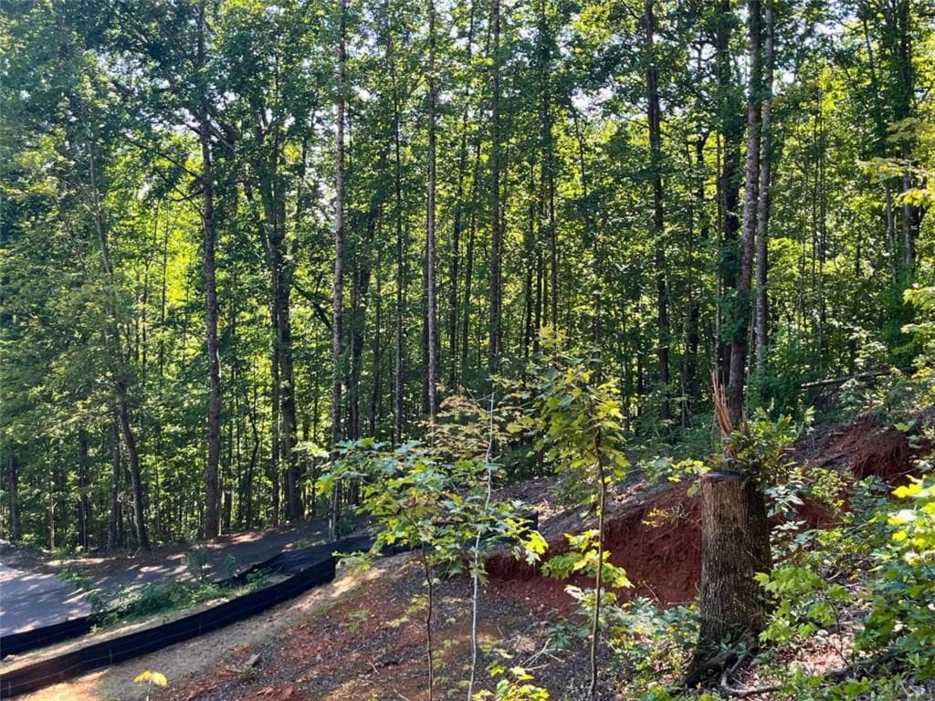 single family residence for sale at LOT 8 Lake View, Clayton, GA 30525 — photo 5