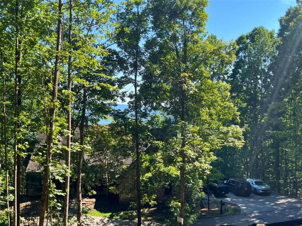 single family residence for sale at LOT 8 Lake View, Clayton, GA 30525 — photo 6