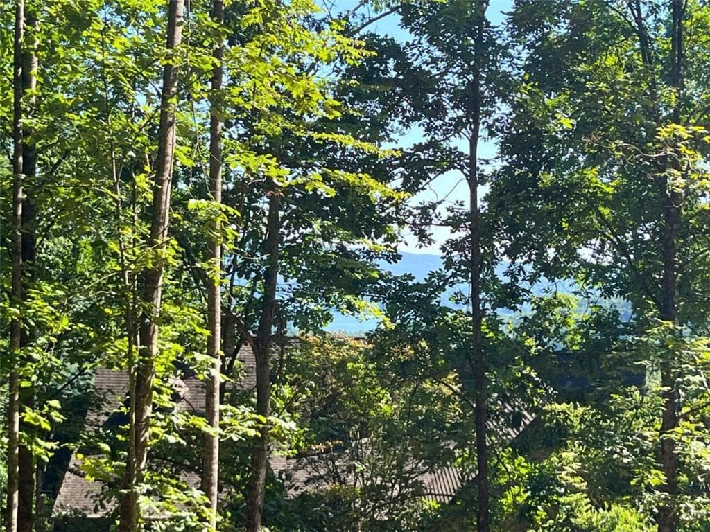 single family residence for sale at LOT 8 Lake View, Clayton, GA 30525 — photo 7