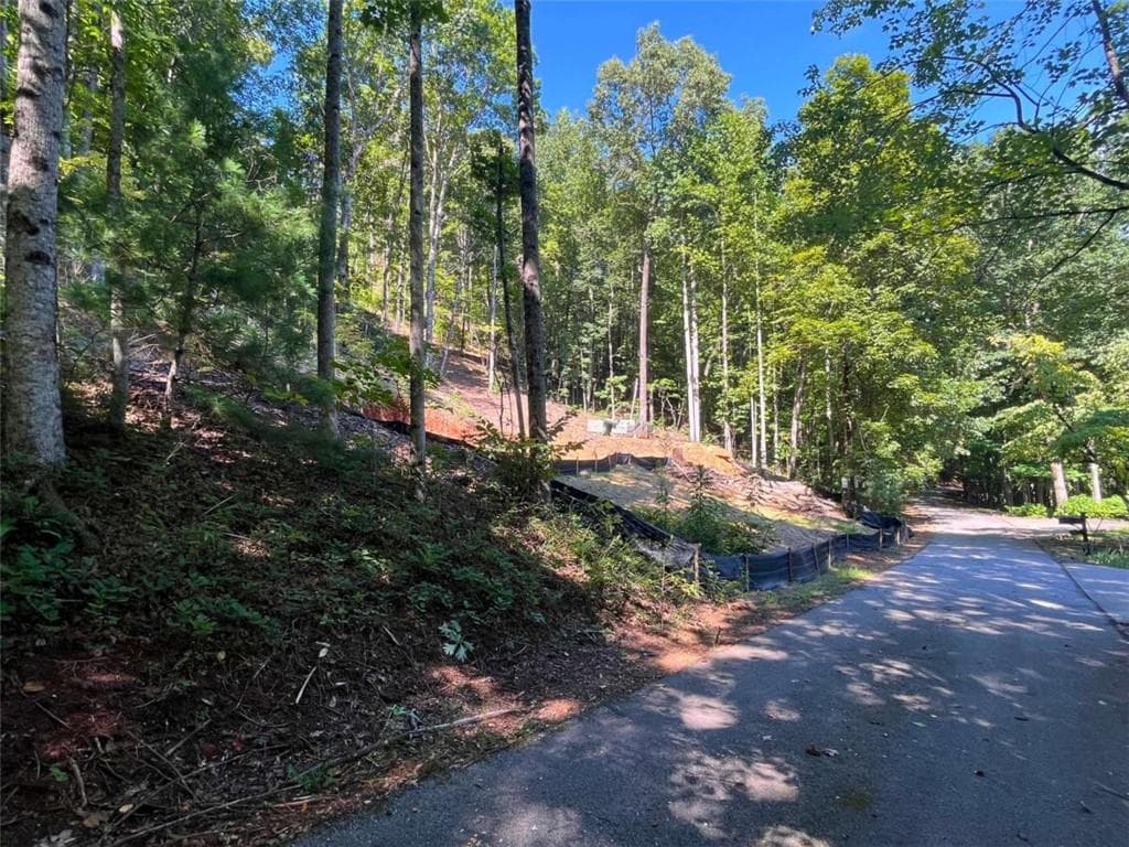 single family residence for sale at LOT 8 Lake View, Clayton, GA 30525 — photo 10