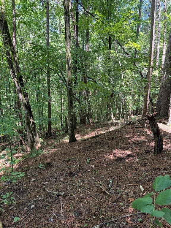 single family residence for sale at 1707 Rebekah Ridge Road, Talking Rock, GA 30175 — photo 6