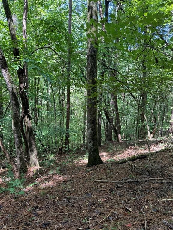 single family residence for sale at 1707 Rebekah Ridge Road, Talking Rock, GA 30175 — photo 7