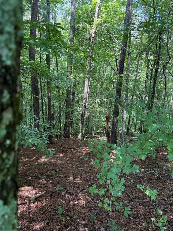 single family residence for sale at 1707 Rebekah Ridge Road, Talking Rock, GA 30175 — photo 8