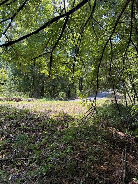 single family residence for sale at 1707 Rebekah Ridge Road, Talking Rock, GA 30175 — photo 10
