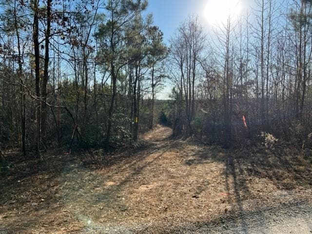 other for sale at 0 Luke Edwards Road, Dacula, GA 30019 — photo 2