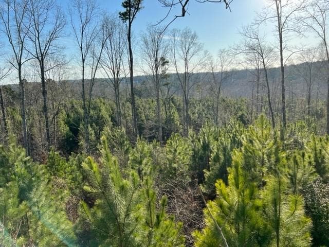 other for sale at 0 Luke Edwards Road, Dacula, GA 30019 — photo 3