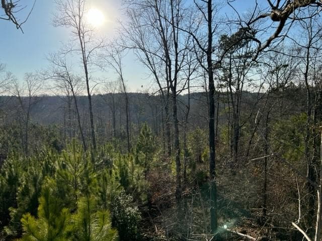 other for sale at 0 Luke Edwards Road, Dacula, GA 30019 — photo 4