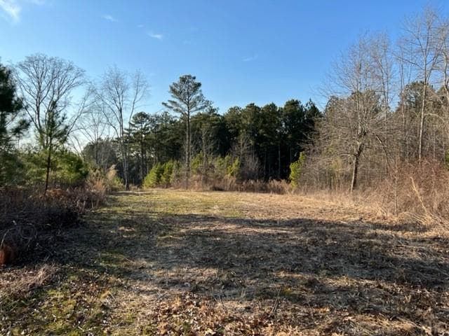 other for sale at 0 Luke Edwards Road, Dacula, GA 30019 — photo 5