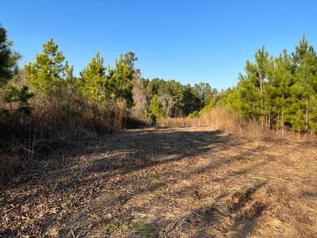 other for sale at 0 Luke Edwards Road, Dacula, GA 30019 — photo 6
