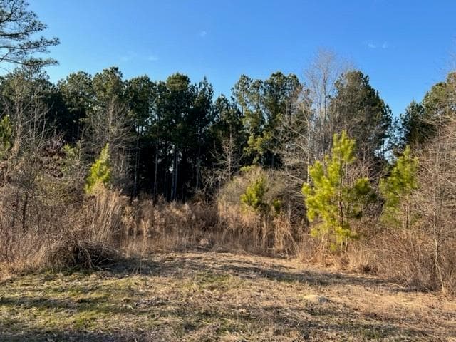 other for sale at 0 Luke Edwards Road, Dacula, GA 30019 — photo 7