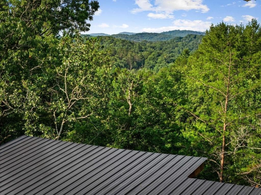 3 bedroom, 4 bathroom, 2,688 sq ft single family residence for sale at 65 Wolf Creek Heights, Mineral Bluff, GA 30559 — photo 3