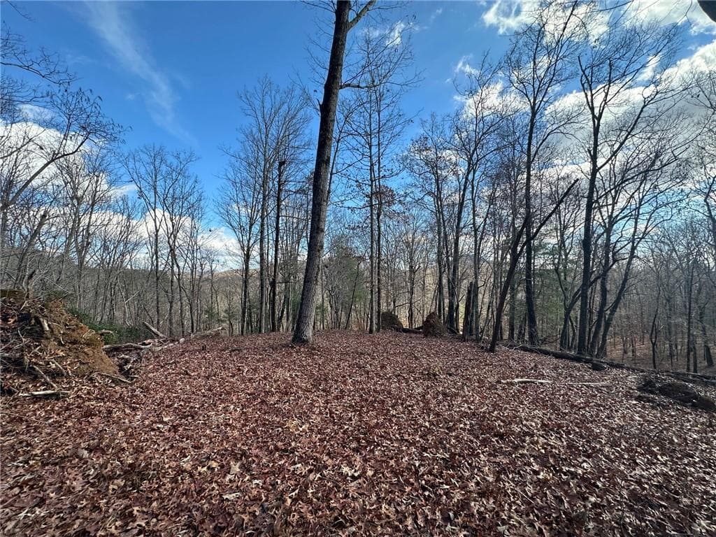 single family residence for sale at 200 Mincey Acres Drive, Murrayville, GA 30564 — photo 2