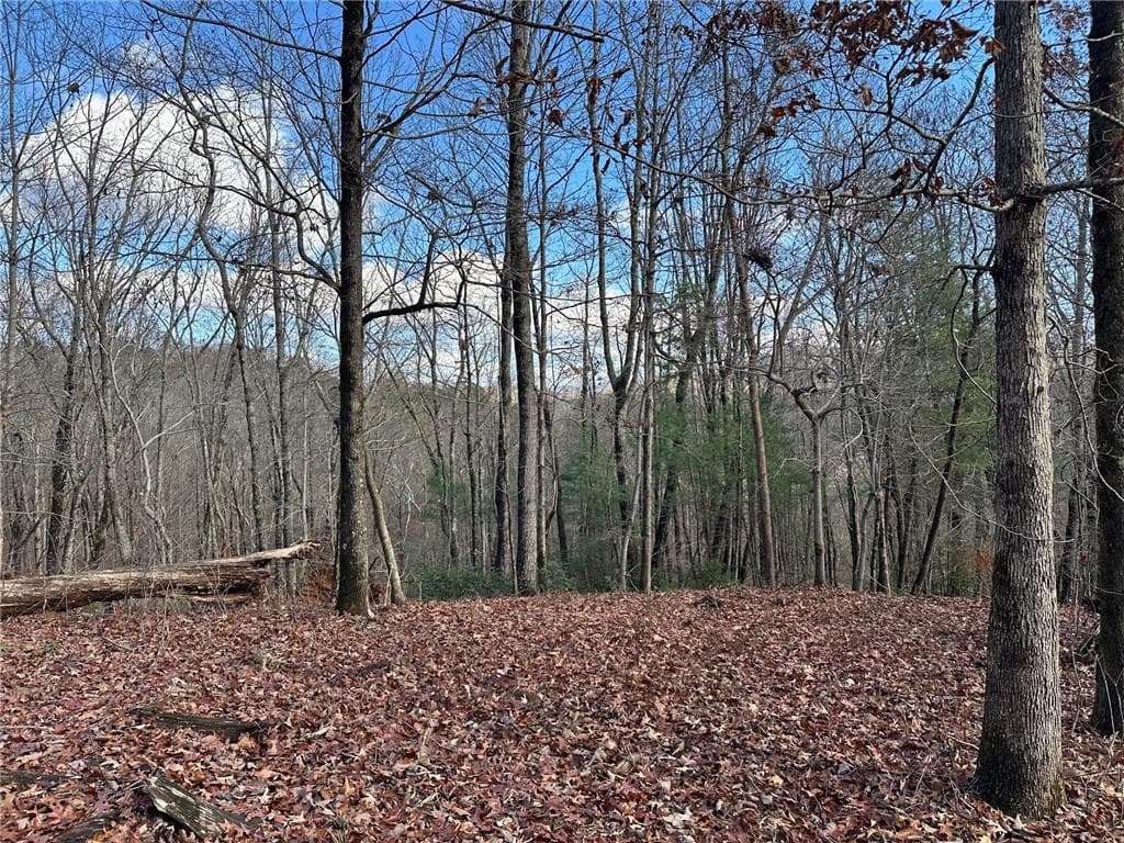 single family residence for sale at 200 Mincey Acres Drive, Murrayville, GA 30564 — photo 3