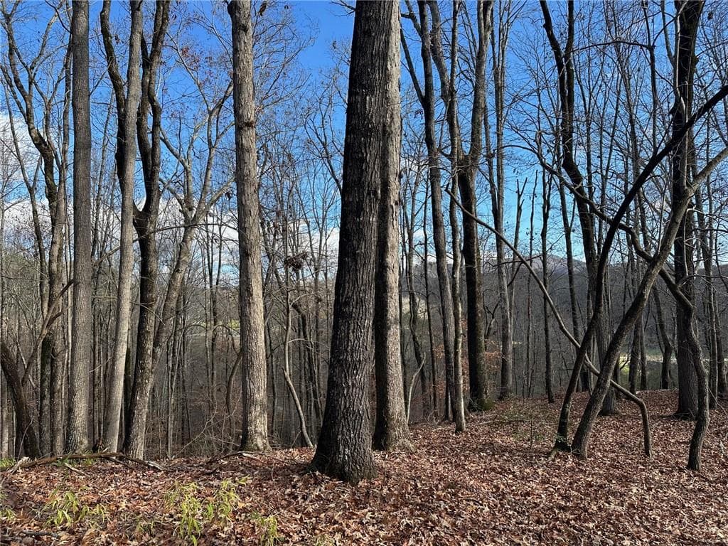 single family residence for sale at 200 Mincey Acres Drive, Murrayville, GA 30564 — photo 4