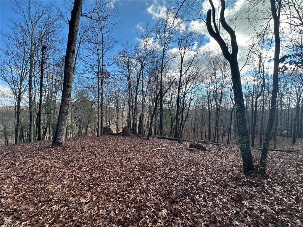 single family residence for sale at 200 Mincey Acres Drive, Murrayville, GA 30564 — photo 6