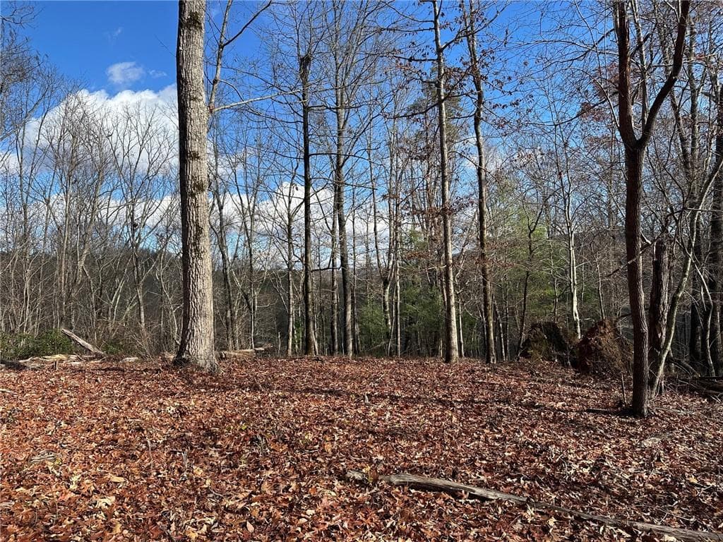 single family residence for sale at 200 Mincey Acres Drive, Murrayville, GA 30564 — photo 7