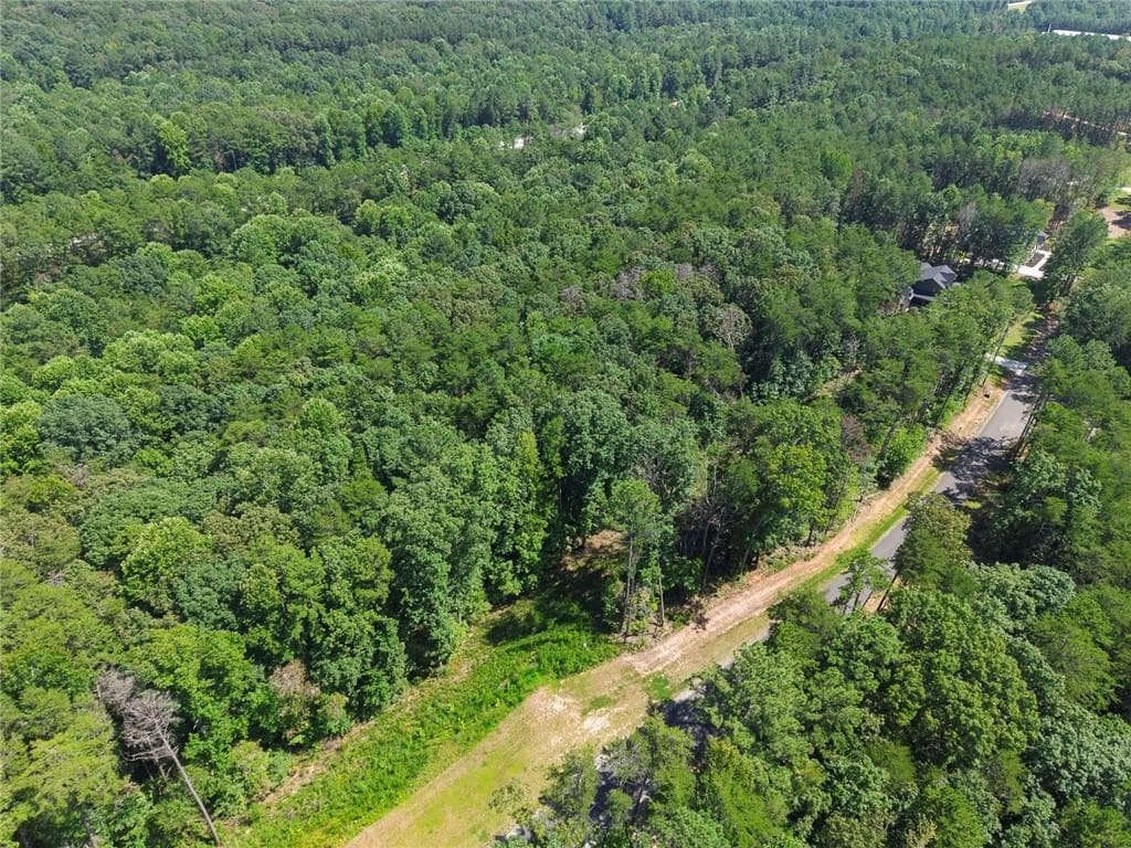 unimproved land for sale at 200 Highlands Chase, Ball Ground, GA 30107 — photo 8