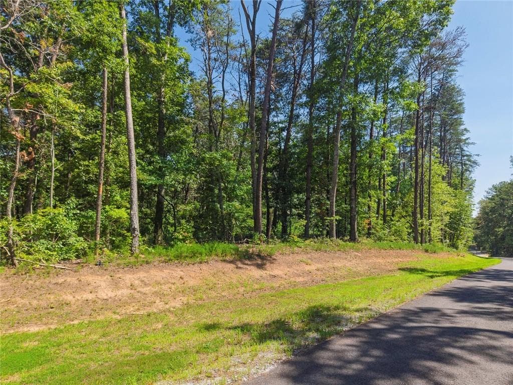 unimproved land for sale at 200 Highlands Chase, Ball Ground, GA 30107 — photo 10