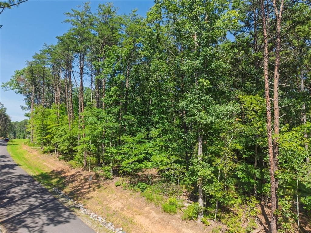 unimproved land for sale at 200 Highlands Chase, Ball Ground, GA 30107 — photo 9