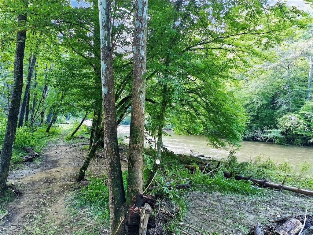 5 bedroom, 4 bathroom, 3,151 sq ft single family residence for sale at 643 Woodstone Trail, Ellijay, GA 30540 — photo 6