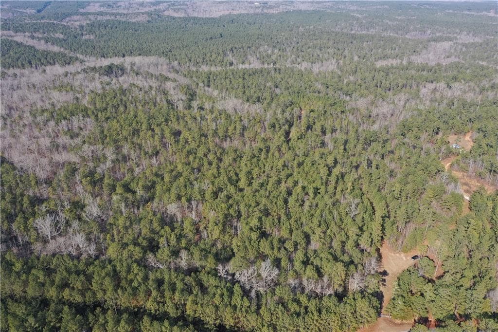 unimproved land under contract at 0 Hulmes Chapel Road, Elberton, GA 30635 — photo 4